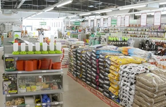 Primăvara la Agroland: avantajele tale în Centrul Comercial Traian Primăvara la Agroland: avantajele tale în Centrul Comercial Traian